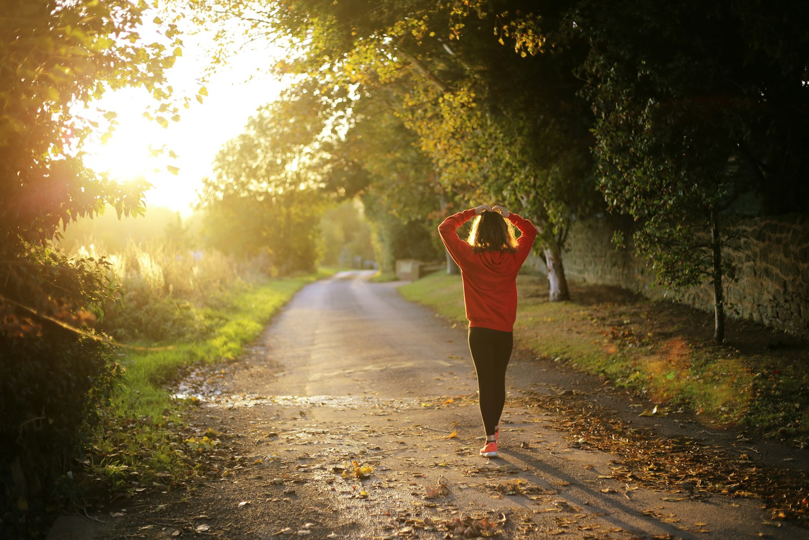 Best Inositol Supplements, Ranked